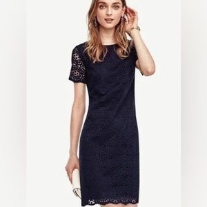 Ann Taylor Navy Blue Lace Dress Size 6